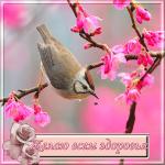     
: 41148956a697.jpg
: 13
:	62.6 
ID:	11608412