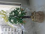     
: 20150909_084802.jpg
: 9
:	175.5 
ID:	11615578