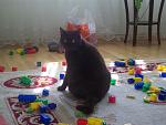     
: 100_1771.jpg
: 33
:	128.9 
ID:	1161577