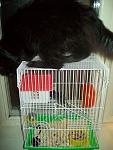     
: 100_1838.jpg
: 32
:	97.0 
ID:	1161726
