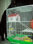     
: 100_1825.jpg
: 29
:	121.5 
ID:	1161729