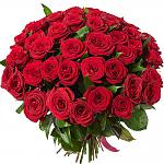    
: 1128.jpg
: 32
:	144.3 
ID:	11621690
