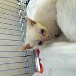     
: IMG_2224.jpg
: 10
:	134.3 
ID:	11621715