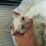     
: IMG_2225.jpg
: 15
:	121.3 
ID:	11621716