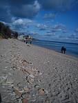     
: DSC00024.jpg
: 16
:	98.7 
ID:	11622432