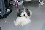     
: 14853094_1448639235163588_2549939134027101212_o.jpg
: 12
:	103.1 
ID:	11622685