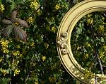     
: DSC02487.jpg
: 3
:	199.3 
ID:	11632250