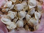     
: DSCN1654.jpg
: 38
:	133.2 
ID:	11633771