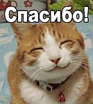     
: 14ipl5v.jpg
: 16
:	61.2 
ID:	11637421