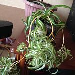     
: 2016-11-06 10.45.48.jpg
: 9
:	120.5 
ID:	11639337
