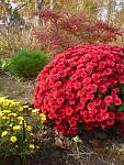    
: 6.11 (12).jpg
: 10
:	170.7 
ID:	11641186