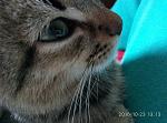     
: Маленьное чудо.jpg
: 136
:	123.3 
ID:	11643214