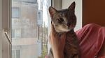     
: 20161106_123951.jpg
: 10
:	81.1 
ID:	11644287