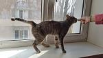     
: 20161106_123827.jpg
: 9
:	88.2 
ID:	11644288