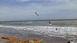     
: IMG_20161107_132219.jpg
: 27
:	39.5 
ID:	11644325