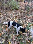     
: IMG_2068.jpg
: 21
:	206.2 
ID:	11645710