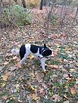     
: IMG_2069.jpg
: 13
:	202.3 
ID:	11645711