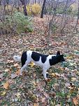     
: IMG_2070.jpg
: 11
:	211.5 
ID:	11645712