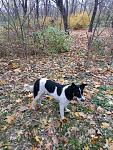     
: IMG_2071.jpg
: 12
:	204.6 
ID:	11645713
