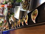     
: IMG_6628.jpg
: 24
:	160.4 
ID:	11651907