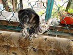     
: DSC03929.jpg
: 26
:	255.5 
ID:	11653285