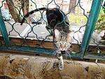     
: DSC03928.jpg
: 21
:	210.9 
ID:	11653286