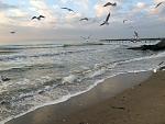     
: IMG_7527.jpg
: 26
:	154.4 
ID:	11655430