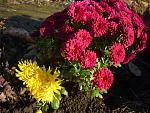     
: 12.11 (19).jpg
: 7
:	135.1 
ID:	11657387