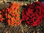     
: 12.11 (18).jpg
: 6
:	195.2 
ID:	11657389