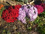     
: 12.11 (17).jpg
: 8
:	210.3 
ID:	11657392