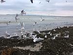     
: IMG_7570.jpg
: 21
:	153.1 
ID:	11661083