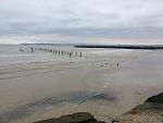     
: IMG_7572.jpg
: 20
:	104.1 
ID:	11661091