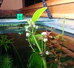     
: 2014-03-30 10.07.44.jpg
: 32
:	123.5 
ID:	11663876