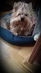    
: 2016-11-15 11.13.12.jpg
: 4
:	53.6 
ID:	11664026