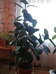     
: IMG_20161116_123324.jpg
: 12
:	72.5 
ID:	11667050