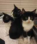     
: P_20161116_180238.jpg
: 22
:	69.8 
ID:	11669206