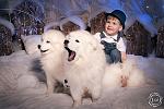     
: miisamoedpuppy-10fls.jpg
: 7
:	114.6 
ID:	11670651
