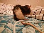     
: IMG_20161118_223042.jpg
: 15
:	84.2 
ID:	11673877