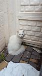     
: 20161119_102751.jpg
: 12
:	80.0 
ID:	11674633