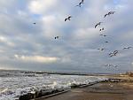     
: IMG_7636.jpg
: 19
:	105.6 
ID:	11674998