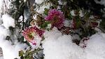     
: 20161116_115437.jpg
: 8
:	107.4 
ID:	11675534