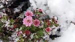     
: 20161116_115551.jpg
: 7
:	118.8 
ID:	11675537