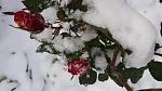     
: 20161116_115612.jpg
: 10
:	93.6 
ID:	11675538