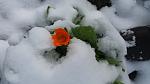     
: 20161116_115627.jpg
: 6
:	61.2 
ID:	11675540