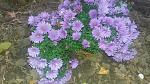     
: 20161025_172326.jpg
: 5
:	180.0 
ID:	11675554