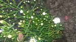    
: 20161025_172451.jpg
: 7
:	168.9 
ID:	11675558