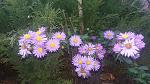     
: 20161025_172800.jpg
: 9
:	177.7 
ID:	11675562