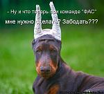     
: 451672.jpg
: 51
:	59.0 
ID:	1168084