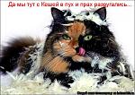     
: 521188.jpg
: 54
:	73.5 
ID:	1168088
