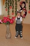     
: DSC_6591.jpg
: 6
:	83.7 
ID:	11681343